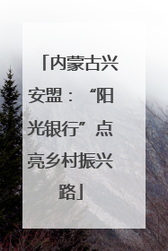 内蒙古兴安盟：“阳光银行”点亮乡村振兴路