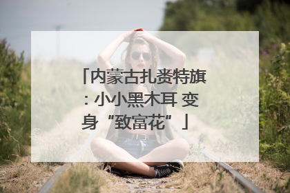 内蒙古扎赉特旗：小小黑木耳 变身“致富花”