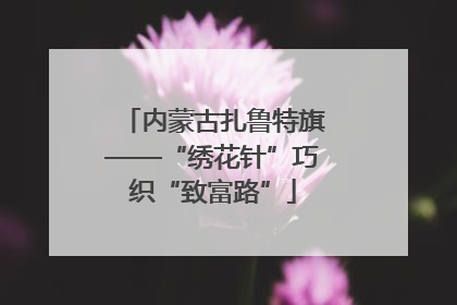 内蒙古扎鲁特旗——“绣花针”巧织“致富路”
