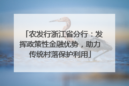 农发行浙江省分行：发挥政策性金融优势，助力传统村落保护利用
