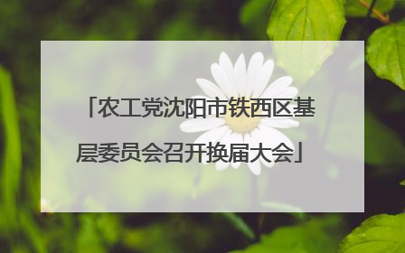 农工党沈阳市铁西区基层委员会召开换届大会