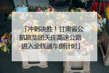 冲刺决胜！甘肃省公航旅集团天庄高速公路进入全线通车倒计时