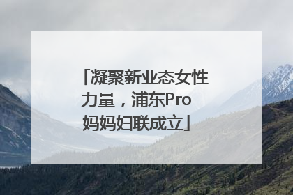 凝聚新业态女性力量，浦东Pro妈妈妇联成立