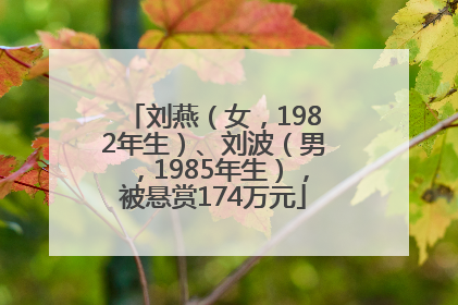 刘燕（女，1982年生）、刘波（男，1985年生），被悬赏174万元