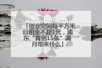 创业空间每平方米日租金不超1元，浦东“青创15条”满月带来什么