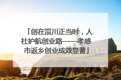 创在澴川正当时，人社护航创业路——孝感市返乡创业成效显著