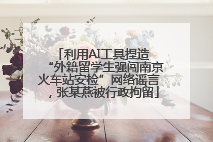 利用AI工具捏造 “外籍留学生强闯南京火车站安检”网络谣言，张某燕被行政拘留