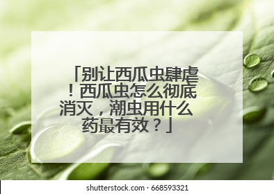 别让西瓜虫肆虐！西瓜虫怎么彻底消灭，潮虫用什么药最有效？