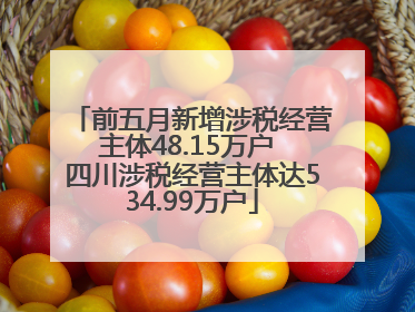 前五月新增涉税经营主体48.15万户 四川涉税经营主体达534.99万户