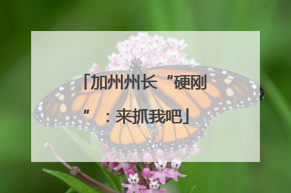 加州州长“硬刚”：来抓我吧