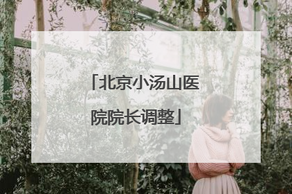 北京小汤山医院院长调整