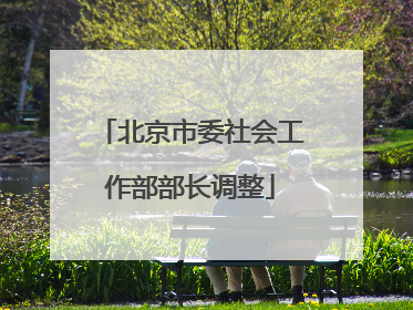 北京市委社会工作部部长调整