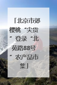 北京市郊樱桃“尖货”登录“北苑路88号”农产品市集