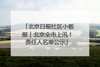 北京日报社区小板报｜北京全市上汛！责任人名单公示