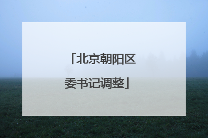 北京朝阳区委书记调整