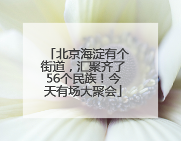 北京海淀有个街道，汇聚齐了56个民族！今天有场大聚会