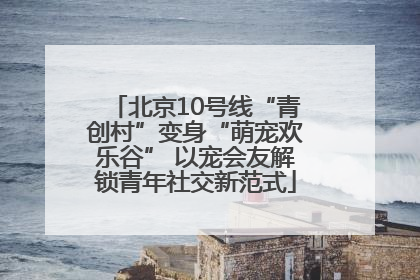 北京10号线“青创村”变身“萌宠欢乐谷” 以宠会友解锁青年社交新范式