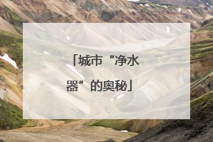 城市“净水器”的奥秘