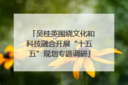 吴桂英围绕文化和科技融合开展“十五五”规划专题调研