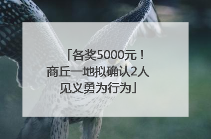 各奖5000元！商丘一地拟确认2人见义勇为行为