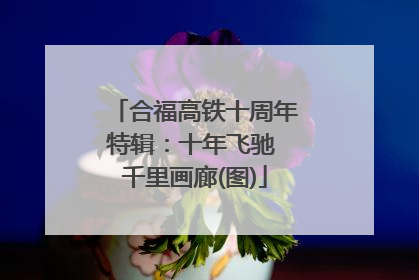 合福高铁十周年特辑：十年飞驰 千里画廊(图)