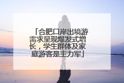 合肥口岸出境游需求呈现爆发式增长，学生群体及家庭游客是主力军