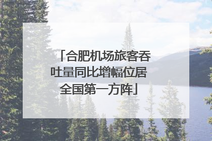 合肥机场旅客吞吐量同比增幅位居全国第一方阵