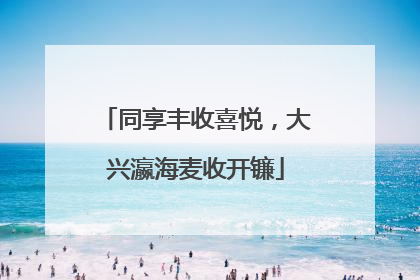 同享丰收喜悦，大兴瀛海麦收开镰