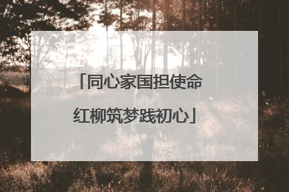 同心家国担使命 红柳筑梦践初心