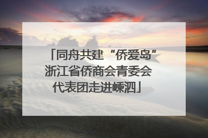 同舟共建“侨爱岛” 浙江省侨商会青委会代表团走进嵊泗