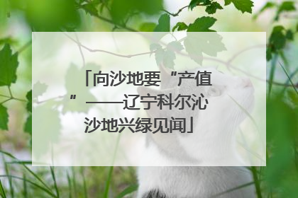 向沙地要“产值”——辽宁科尔沁沙地兴绿见闻