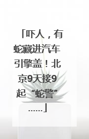 吓人,有蛇藏进汽车引擎盖!北京9天接9起“蛇警”……