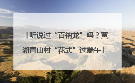 听说过“百衲龙”吗？黄湖青山村“花式”过端午