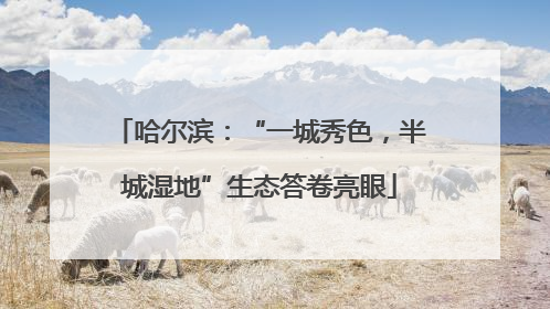 哈尔滨：“一城秀色，半城湿地”生态答卷亮眼