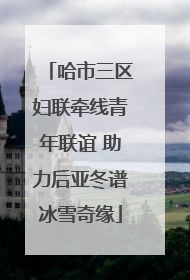 哈市三区妇联牵线青年联谊 助力后亚冬谱冰雪奇缘