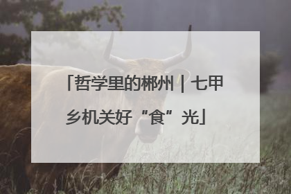 哲学里的郴州｜七甲乡机关好“食”光
