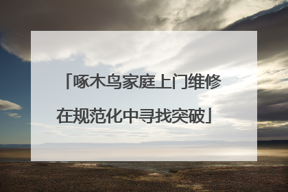 啄木鸟家庭上门维修在规范化中寻找突破