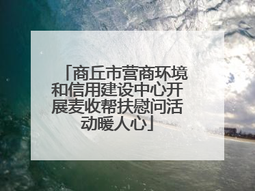 商丘市营商环境和信用建设中心开展麦收帮扶慰问活动暖人心