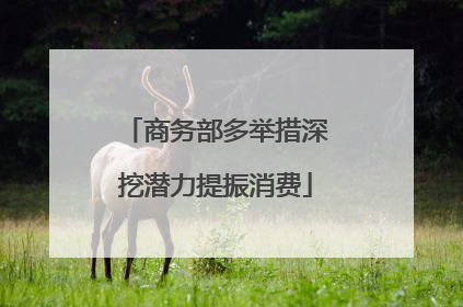 商务部多举措深挖潜力提振消费