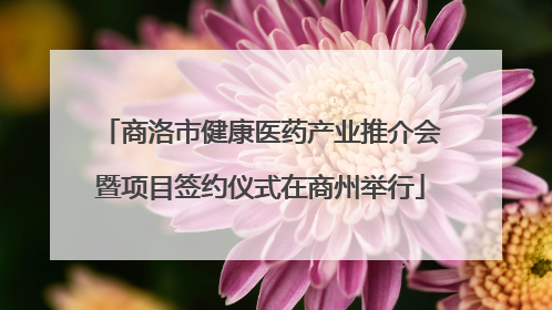 商洛市健康医药产业推介会暨项目签约仪式在商州举行