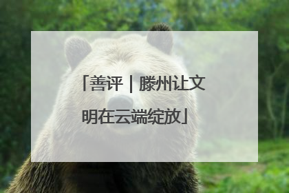 善评｜滕州让文明在云端绽放