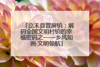 嘉禾县晋屏镇：解码全国文明村镇的幸福密码之——乡风如画·文明领航
