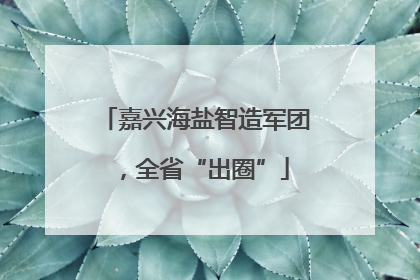 嘉兴海盐智造军团，全省“出圈”
