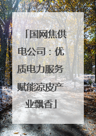 国网焦供电公司：优质电力服务赋能凉皮产业飘香
