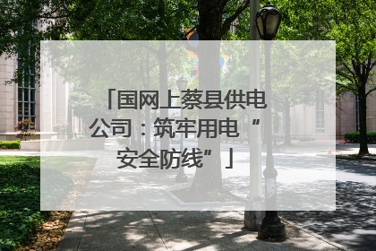 国网上蔡县供电公司：筑牢用电“安全防线”