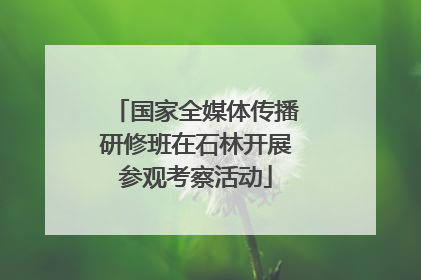 国家全媒体传播研修班在石林开展参观考察活动