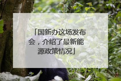 国新办这场发布会，介绍了最新能源政策情况