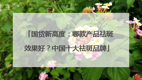 国货新高度：哪款产品祛斑效果好？中国十大祛斑品牌