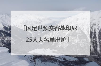 国足世预赛客战印尼25人大名单出炉