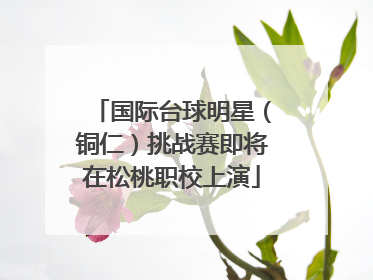 国际台球明星（铜仁）挑战赛即将在松桃职校上演